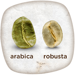 arabica_vs_robusta2_960