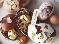eggs