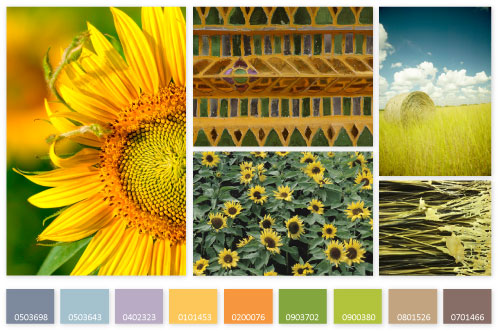 SS-2013-Sunflowers