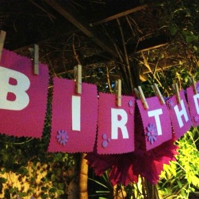 Η χαρά του πάρτυ / Happy House&nbsp;Party