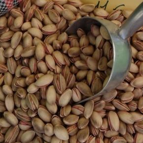 Η Γιορτή Του Φιστικιού!!! / «Aegina Fistiki&nbsp;Fest»