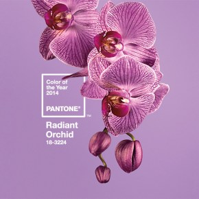 Pantone : To χρώμα της χρονιάς&nbsp;2014