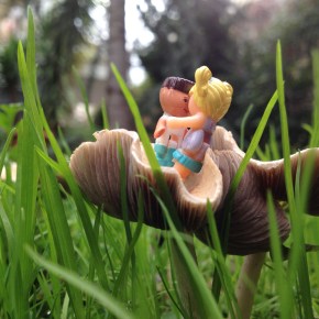 Photography: Ένας νέος κόσμος του macro / Macro&nbsp;photoproject