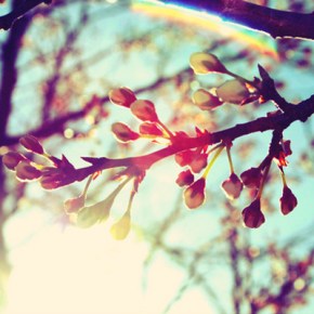 Έμπνευση απο την άνοιξη! – Get inspired by spring&nbsp;pastels!