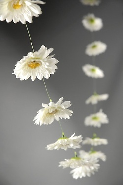 4bcca5980e8e12bba3436783b1555fb6