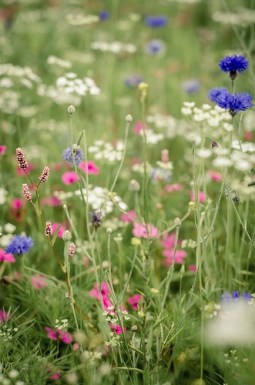 8edc08751207d4ef1d71d514d74c0feb