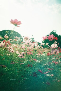 cb41041daea5362cb4bf67c99e4c732c