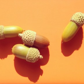 Διακόσμηση συσκευασίας με βελανίδια/ Acorn&nbsp;Decor
