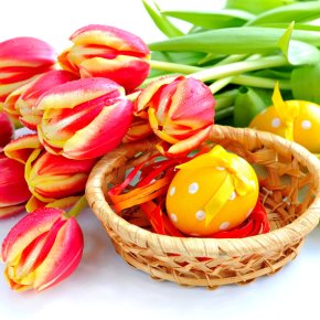 Χρόνια Πολλά! Χριστός&nbsp;ανέστη!