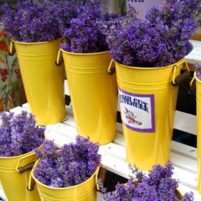 Αντιδιαμετρικά στο χρωματικό&nbsp;κύκλο