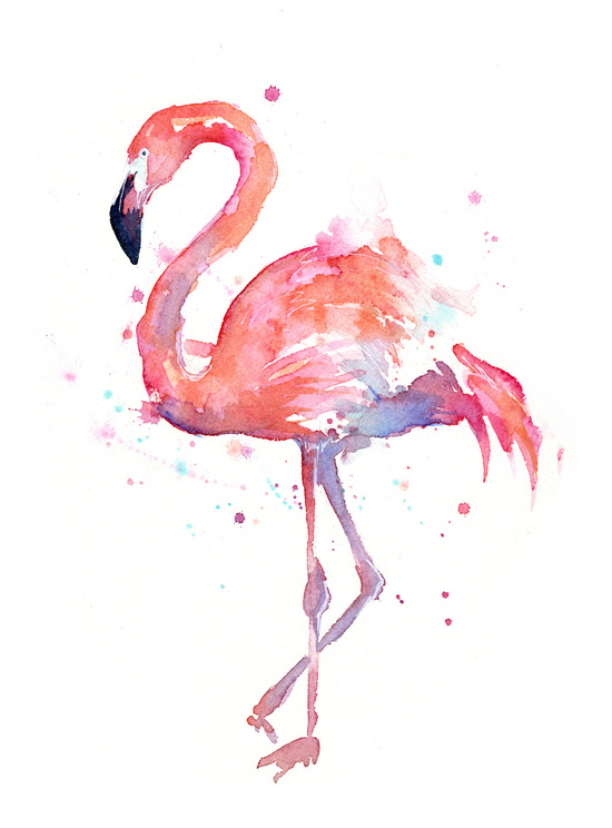 13969403_12504208_pm