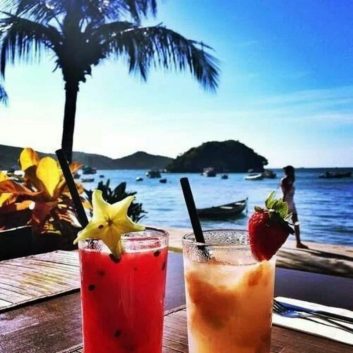 beach-cocktail-palm-trees-sea-Favim.com-1878576-1024x1024