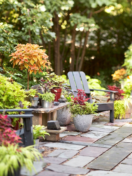 outdoor garden 2