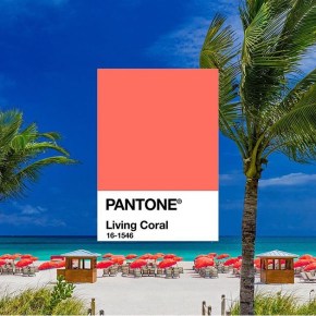 Pantone color of the year&nbsp;2019