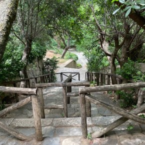 Βόλτα στα περίχωρα: Μια σύντομη περιήγηση στο αισθητικό δάσος της&nbsp;Καισαριανής