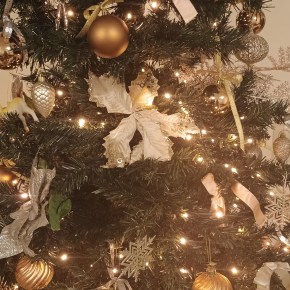 ΟΡΓΑΝΩΣΗ ΚΑΙ ΑΠΟΘΗΚΕΥΣΗ ΧΡΙΣΤΟΥΓΕΝΝΙΑΤΙΚΩΝ