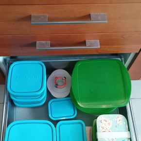 5′ ΟΡΓΑΝΩΣΗΣ: ΦΑΓΗΤΟΔΟΧΕΙΑ